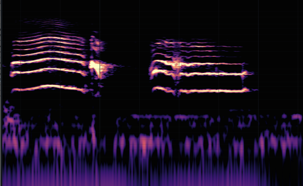 spectrogram d'un nouveau né